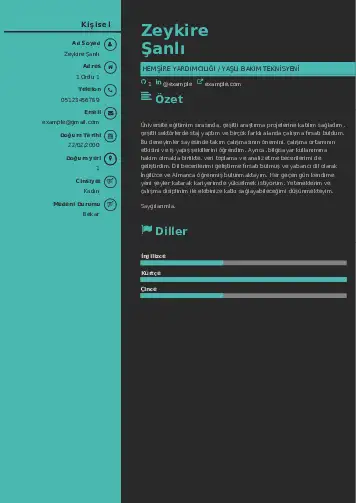 cv indir